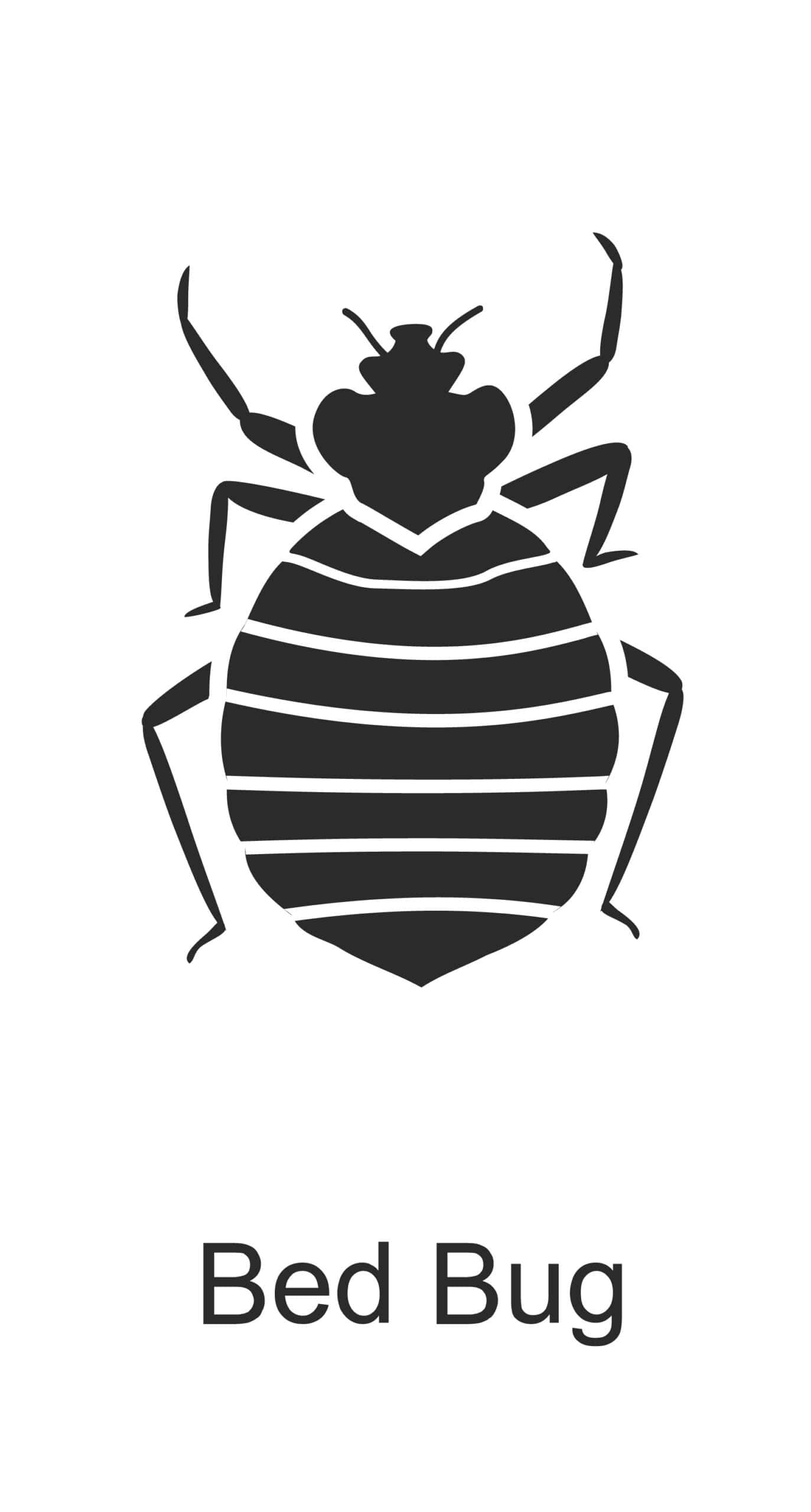 bed bug parish pest control common household pest