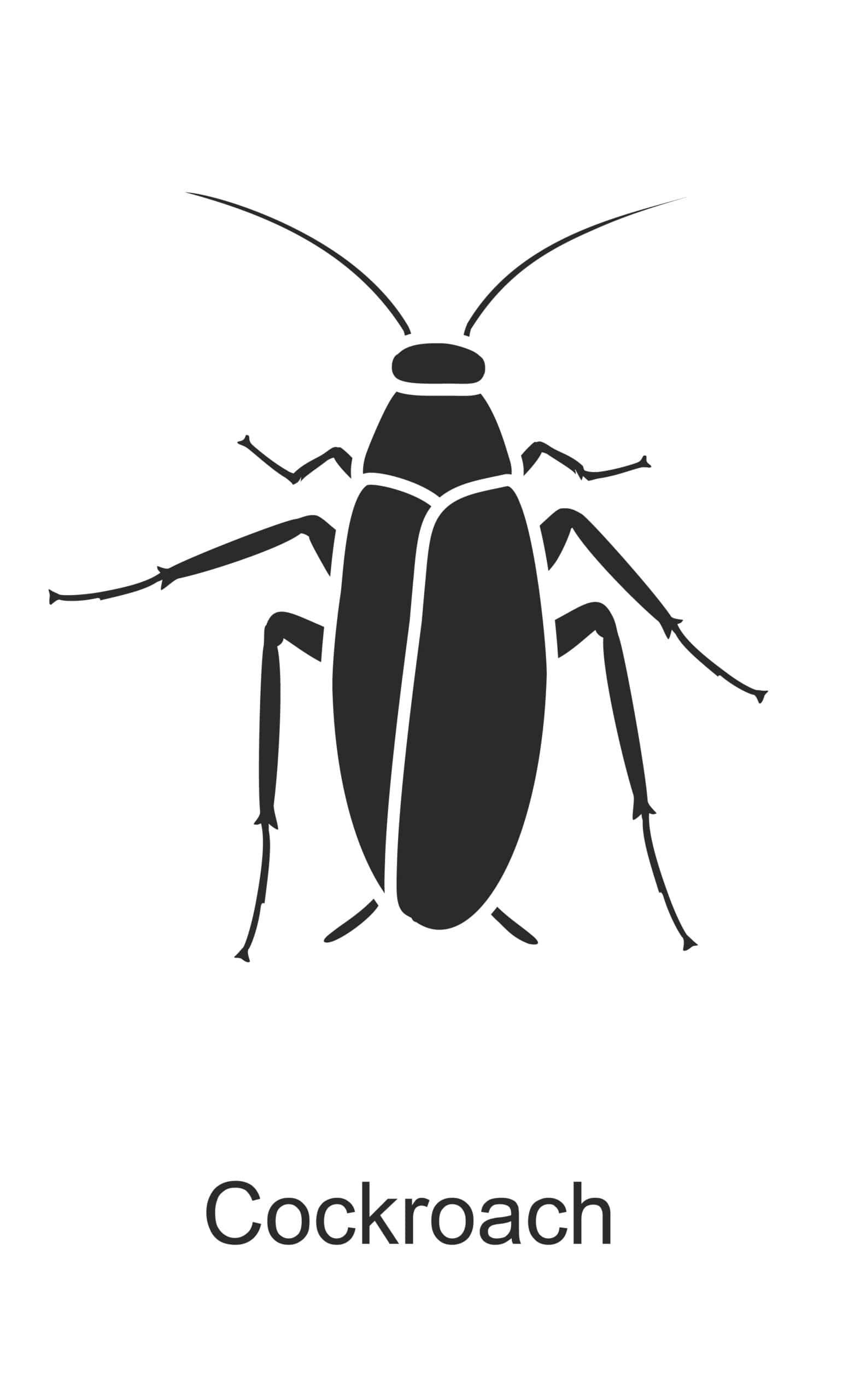 cockroach parish pest control common household pest