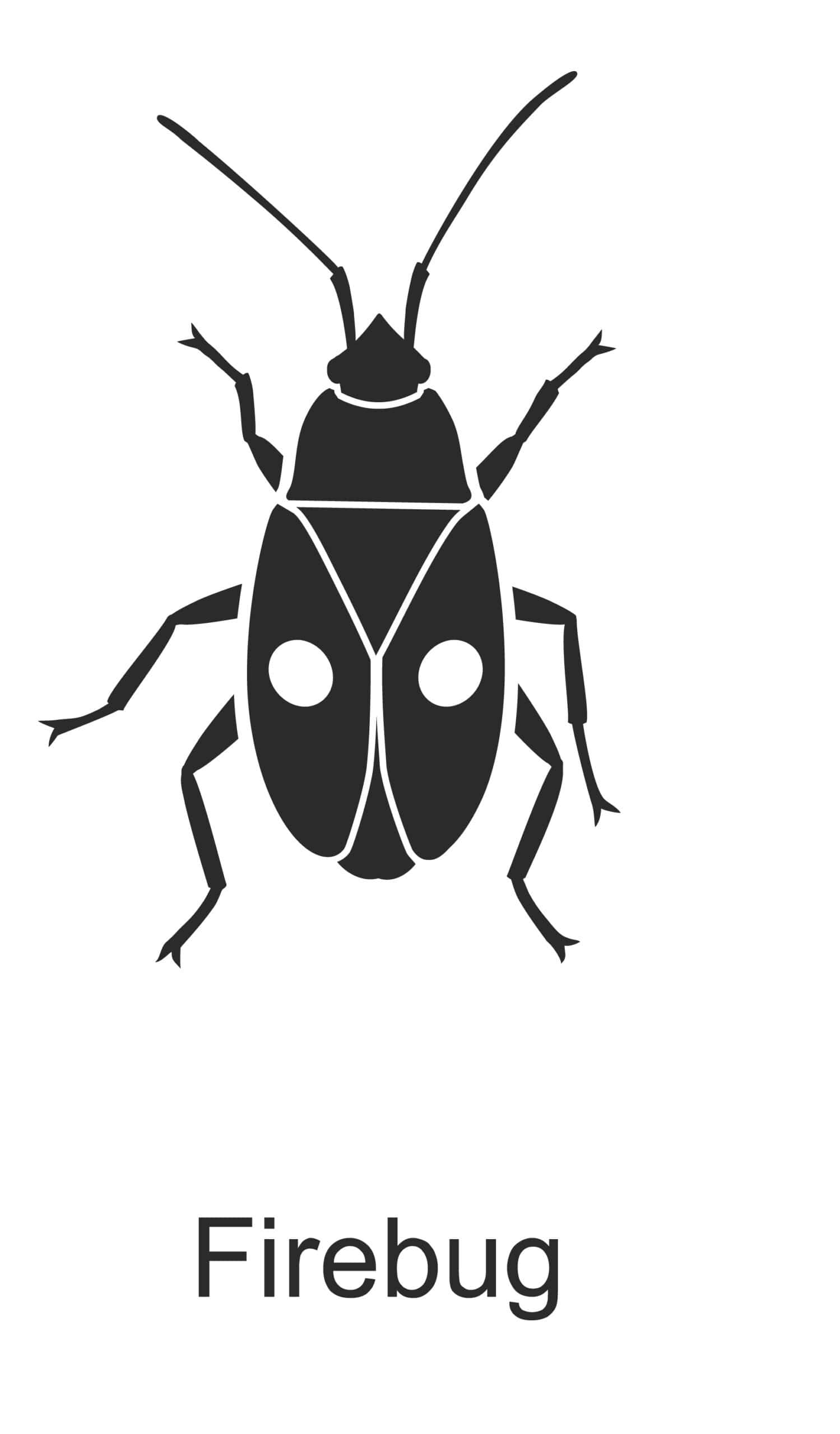 firebug parish pest control common household pest