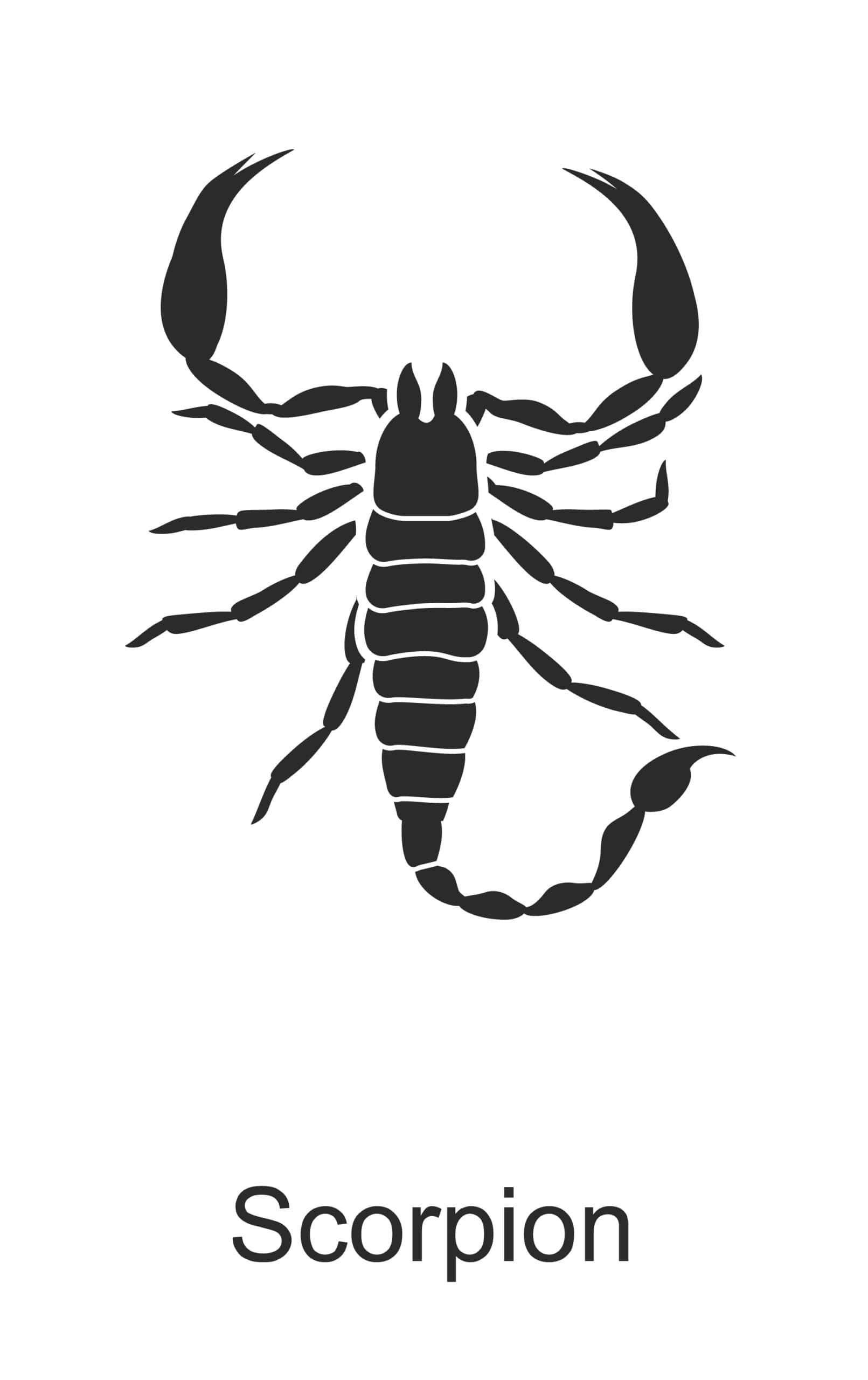 scorpion parish pest control common household pest