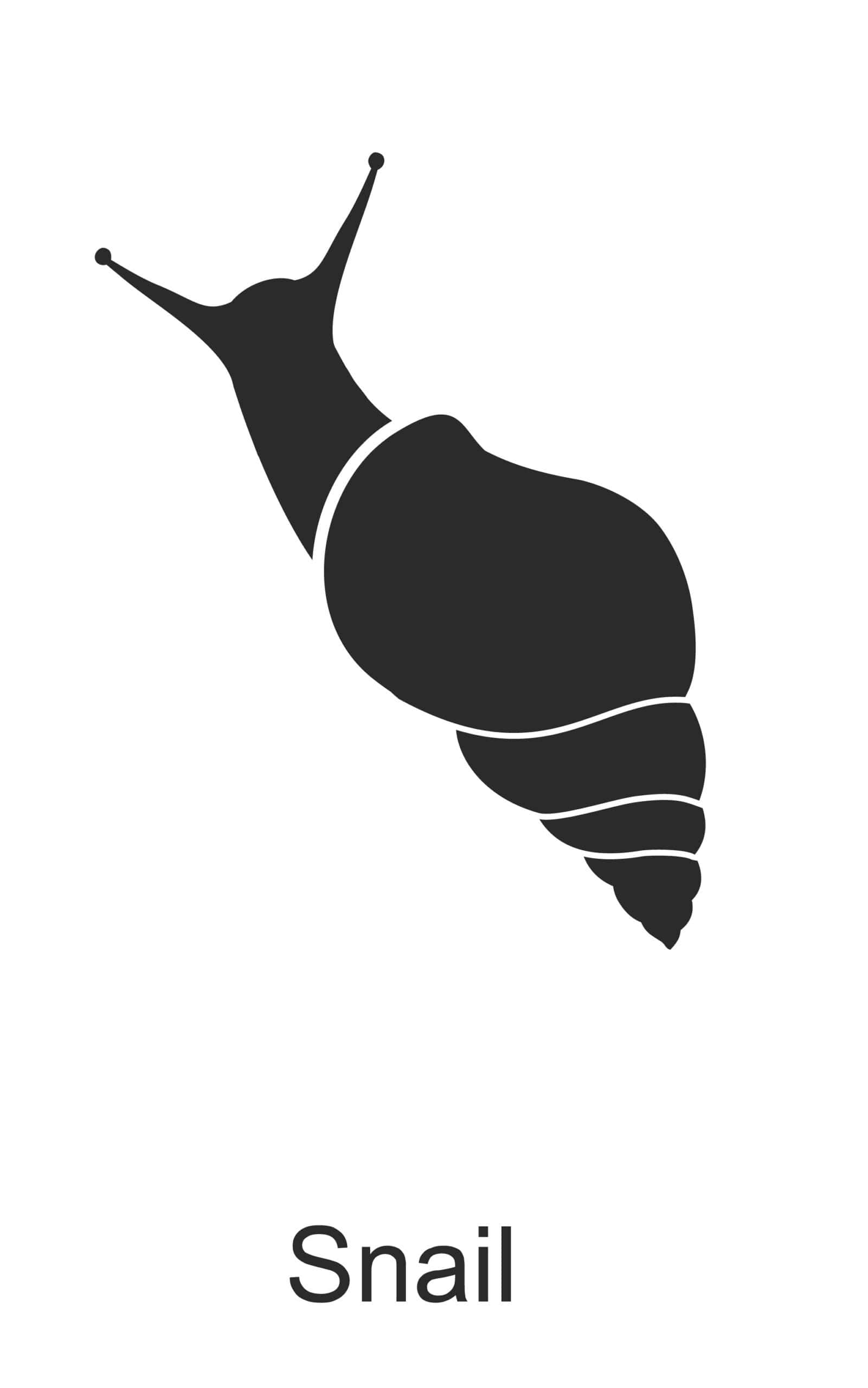 snail parish pest control common household pest