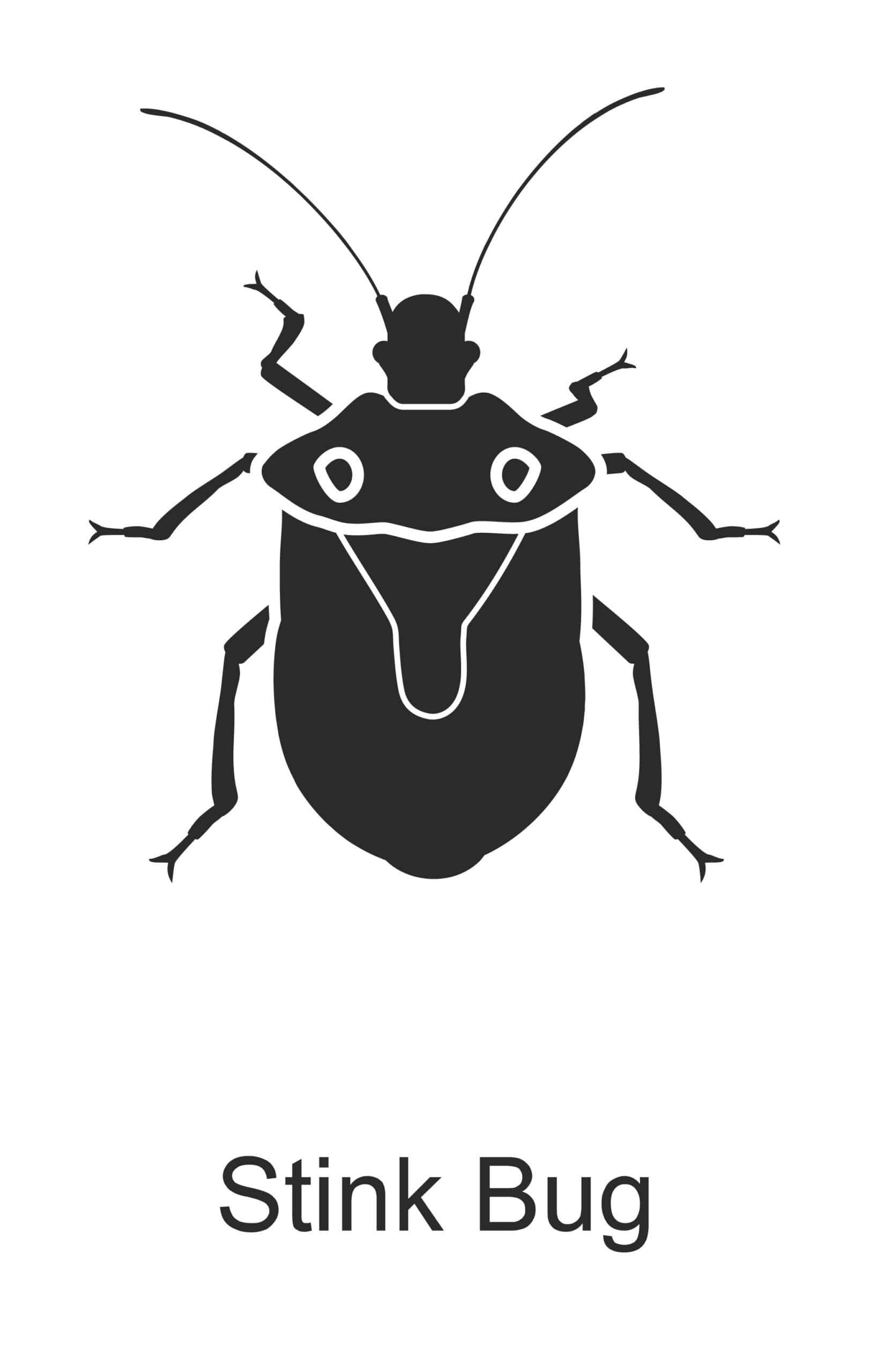 stink bug parish pest control common household pest