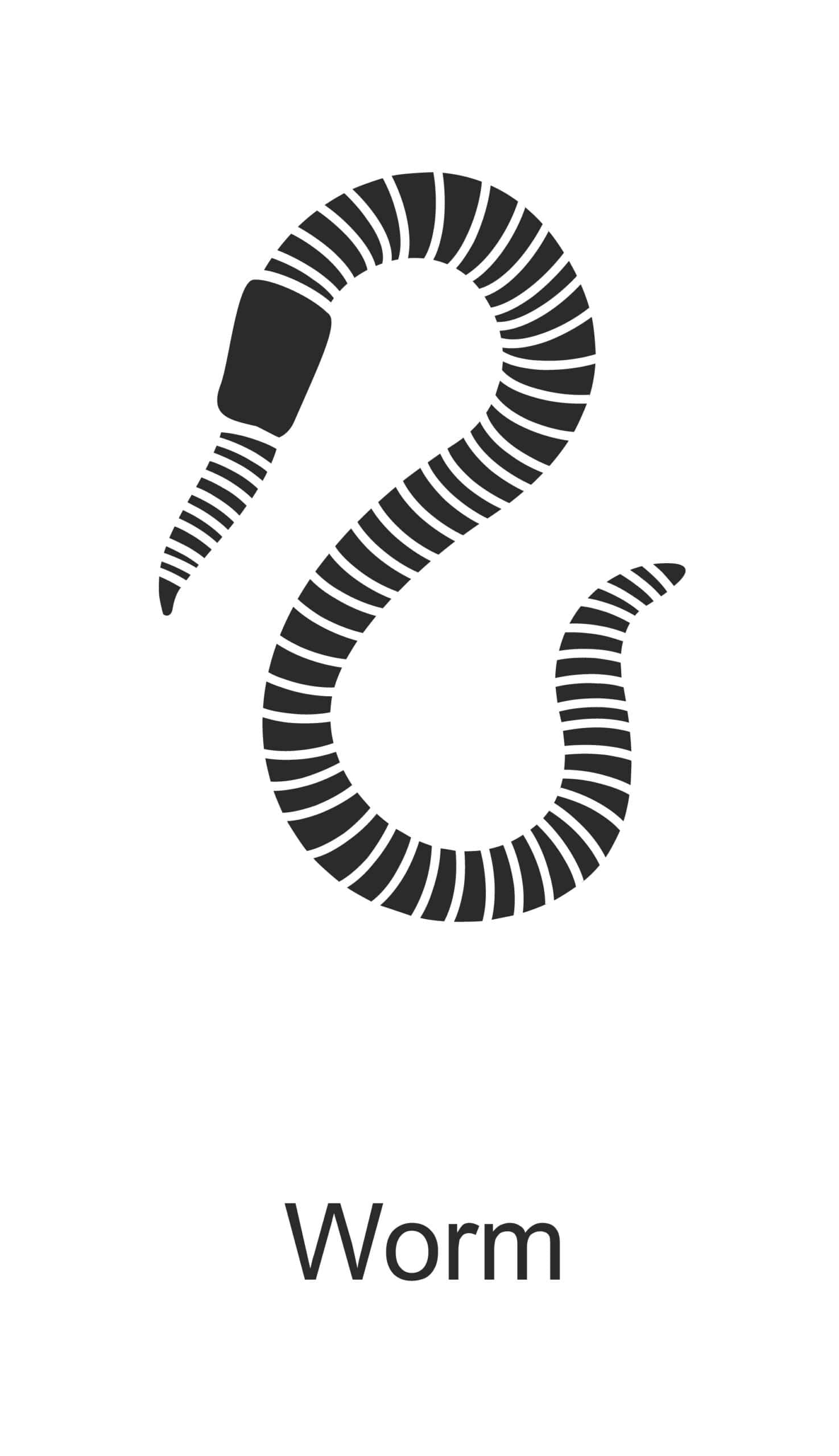 worm parish pest control common household pest